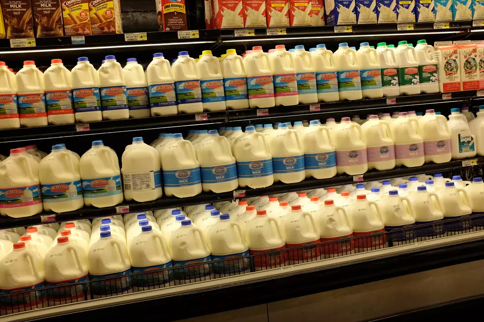 If You’ve Purchased Milk In MI Since 2003, You Could Be Owed Some Cash
