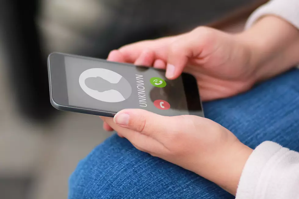 Newaygo Police Warn of Officer Impersonation Phone Scam