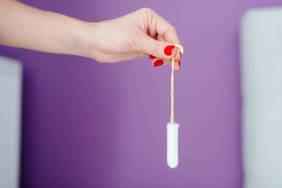Michigan House Votes To End “Tampon Tax”