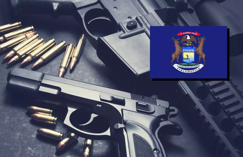 Lock Your Doors: Michigan Gun Thefts On The Rise