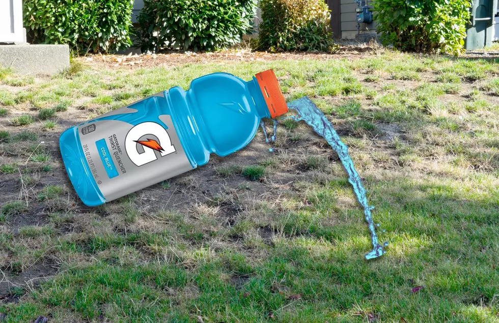 Can West Michigan Residents Save Their Dead and Dying Grass With Gatorade?