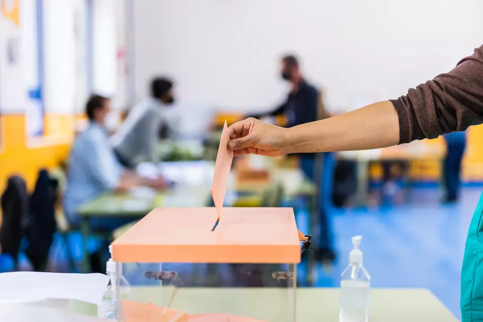 Michigan’s Political Landscape: Can the Blue Streak Continue in the Next Election?