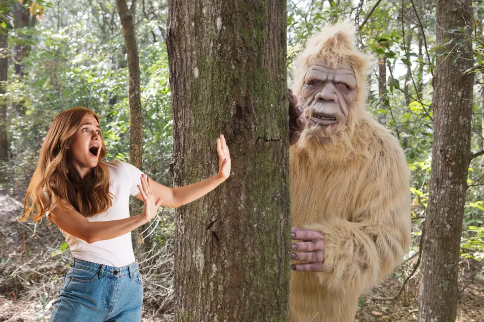 A Bigfoot Sighting Sends An Ohio School District Into Lockdown