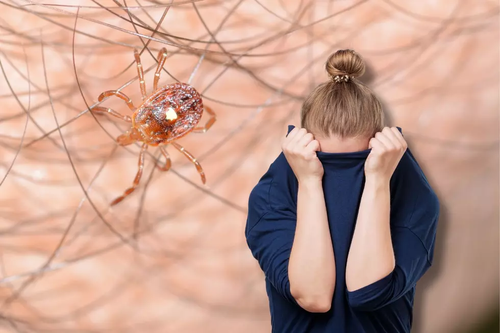 Urgent Alert: Dangerous Lone Star Tick Discovered in West Michigan