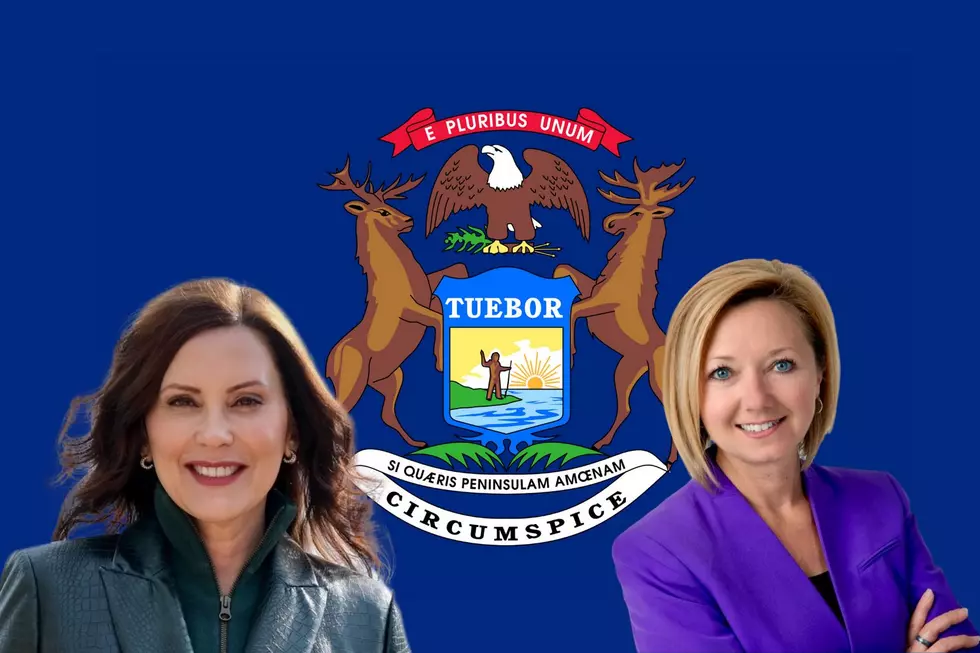 Governor Whitmer Has Appointed Grand Rapids Mayor Rosalynn Bliss To A New Job