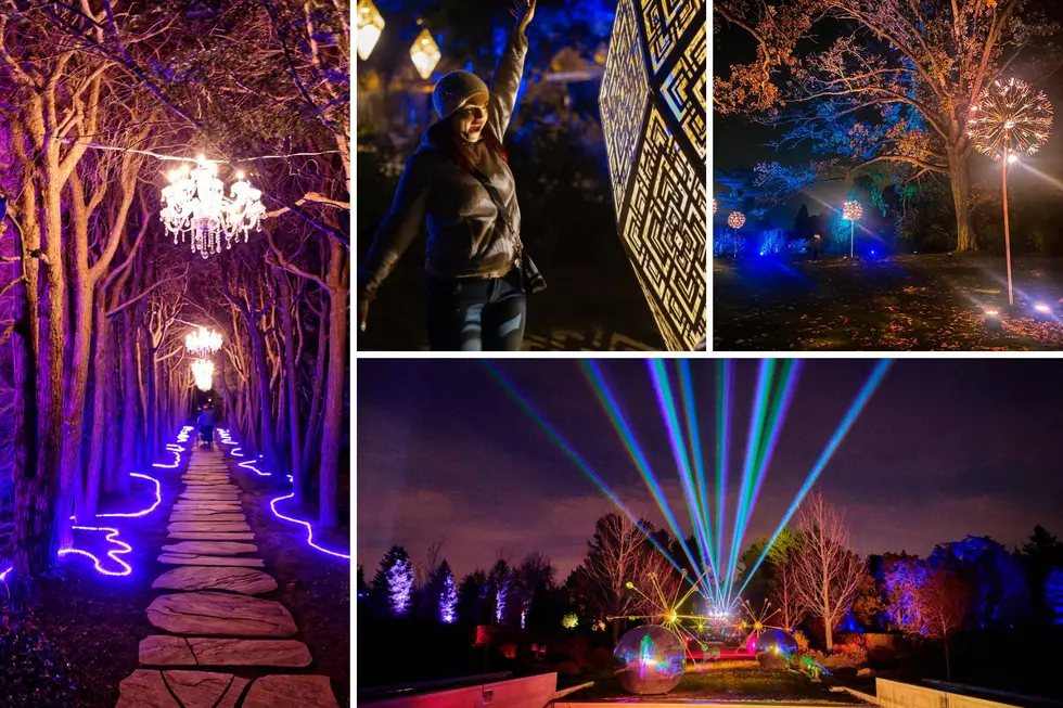 ‘Holiday Lights Spectacle’ Coming to Meijer Gardens This Winter