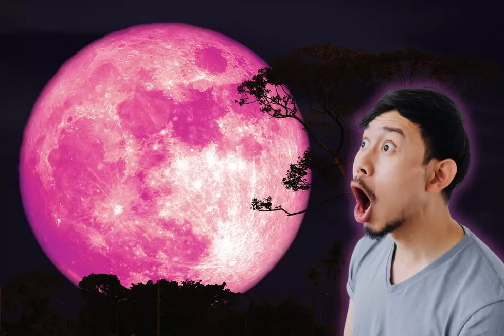 Get Ready for Michigan’s Spring Spectacle: The Full Pink Moon