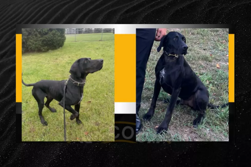 Kent County Sheriff’s Office Reunited With Missing K9 Officer