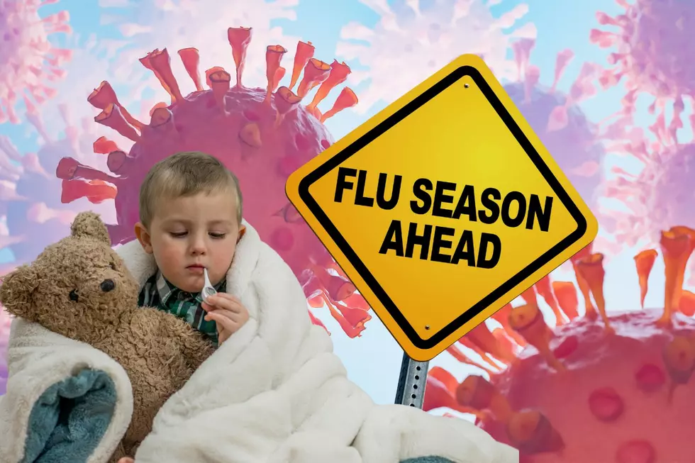Flu Cases Rising Fast in West Michigan Kids: What Parents Should Know