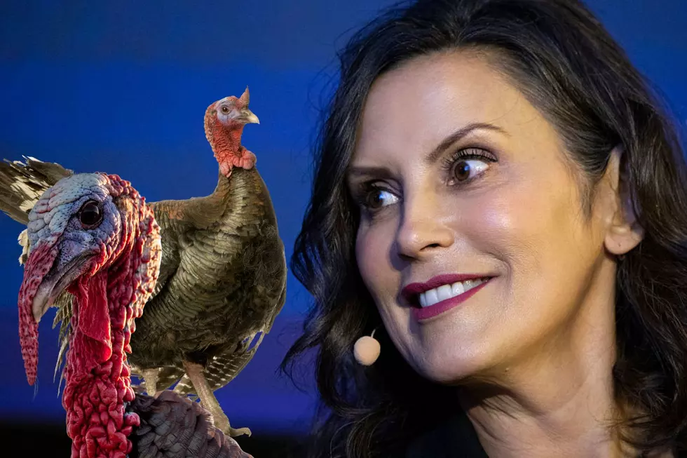 Gov. Whitmer Just Gave Us the Most Michigan Turkey Pardon Ever