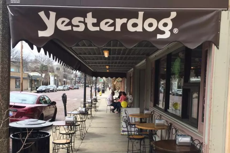 The Yesterdog Documentary You Probably Didn’t Know Existed